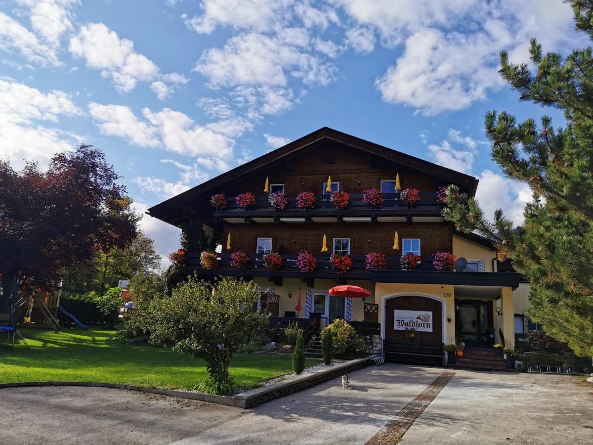 Apartment Apartmenthaus Waldhorn *
