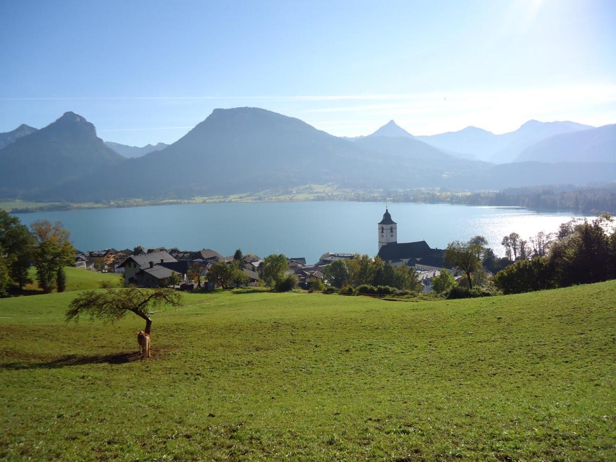 Apartmenthaus Waldhorn Sankt Wolfgang im Salzkammergut