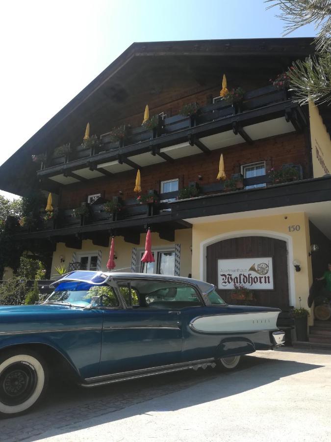 Apartmenthaus Waldhorn Appartement